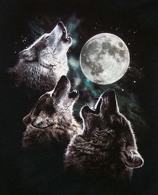 3 wolves howling at full moon
