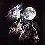 3 wolf moon