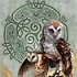 Celtic Owls