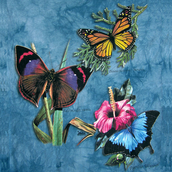 three butterflies