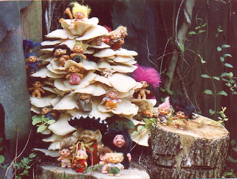 trolls on every shelf