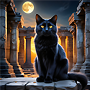 Temple Cat