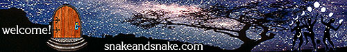 snakeandsnake.com