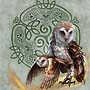 Celtic Owls