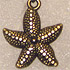 brass starfish earrings