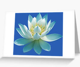 Inner Peace Lotus card