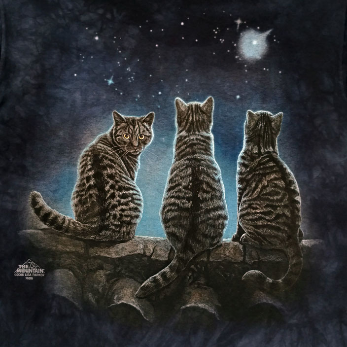 Stargazing Cats
