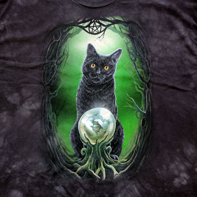 Wiccan Cat